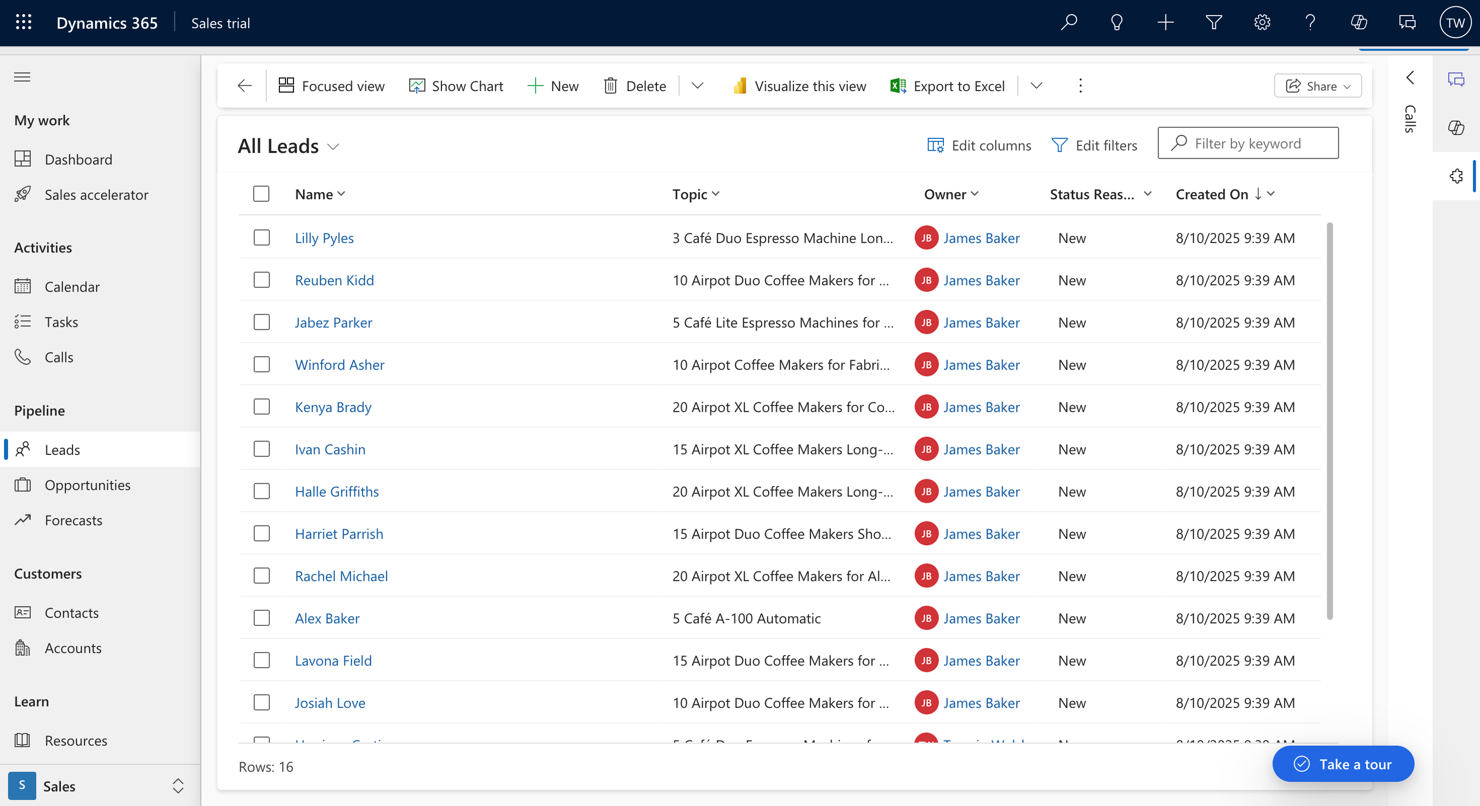 Leads in Microsoft Dynamics