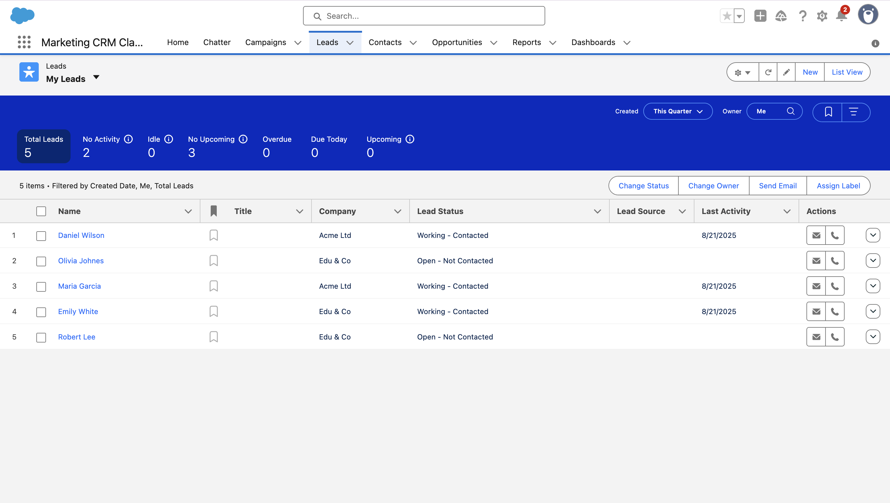 Leads in Salesforce