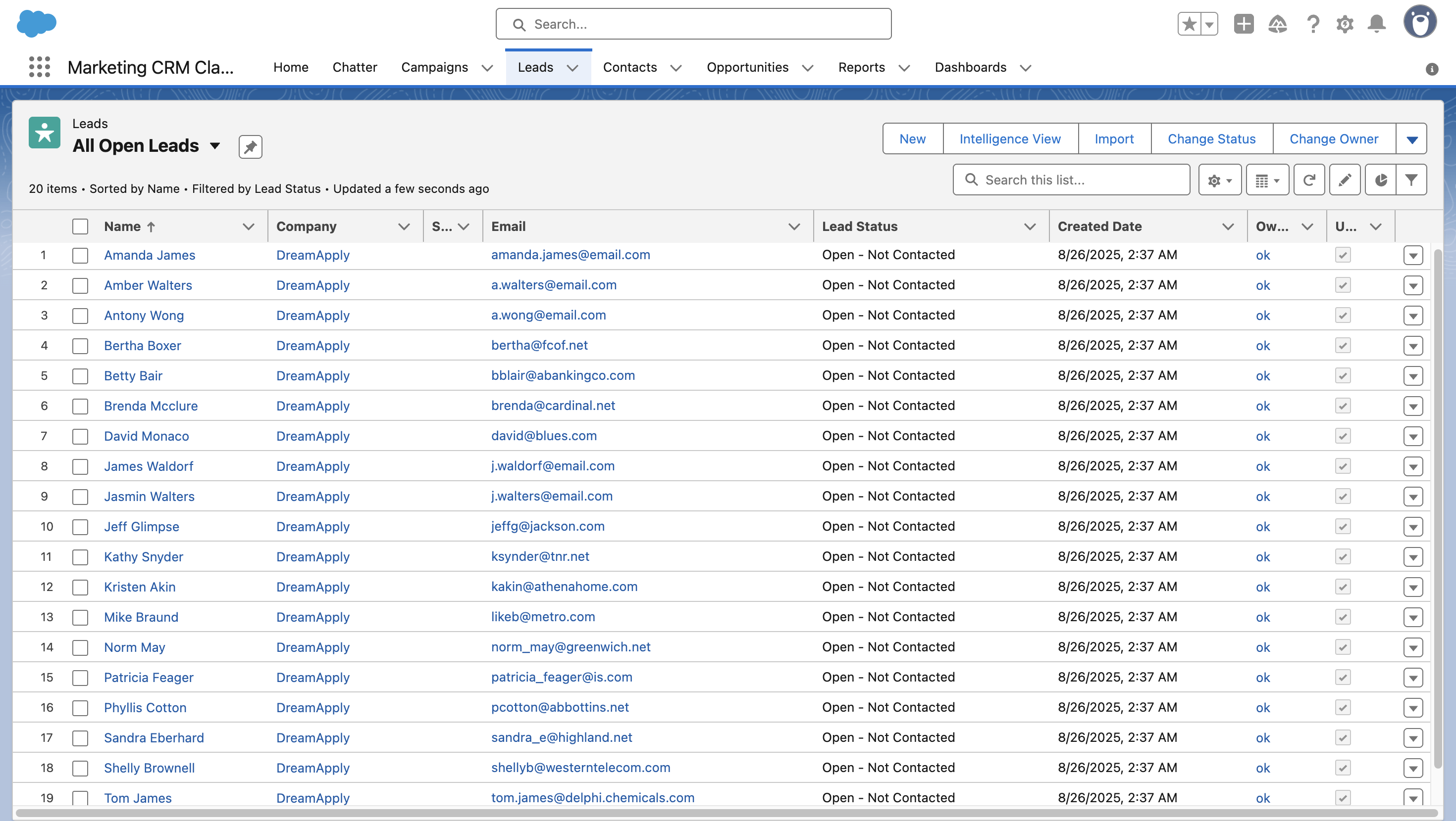 Leads in Salesforce